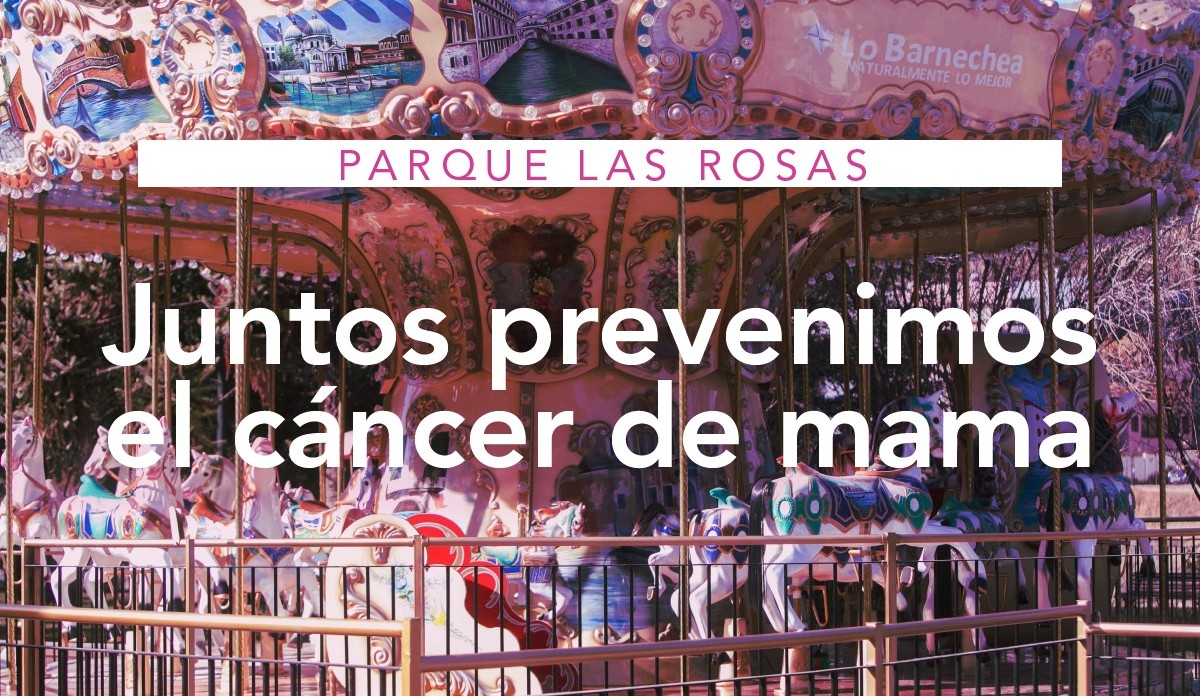 Mañana entretenida en el Parque Las Rosas