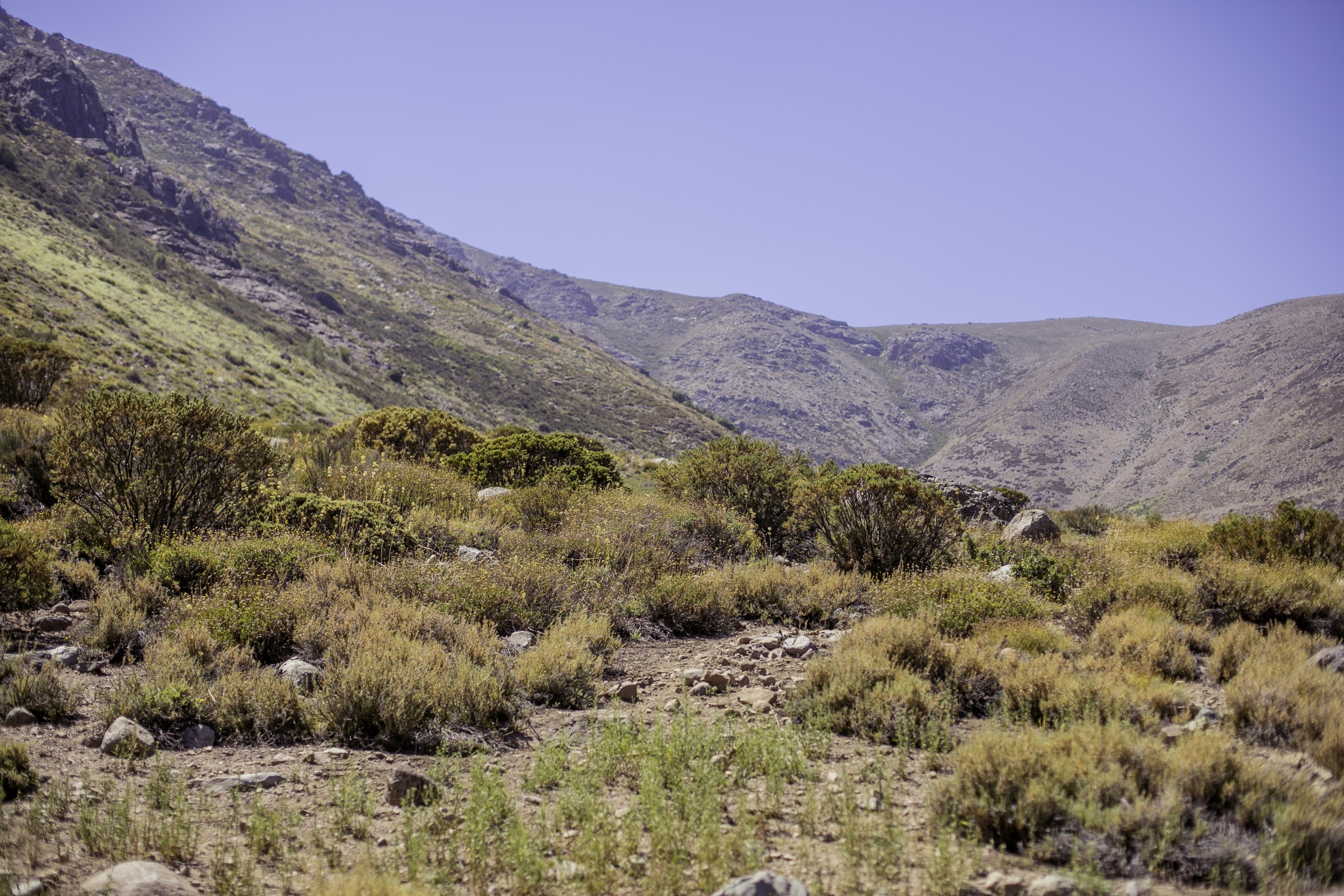 Trekking Farellones con charla de Geología