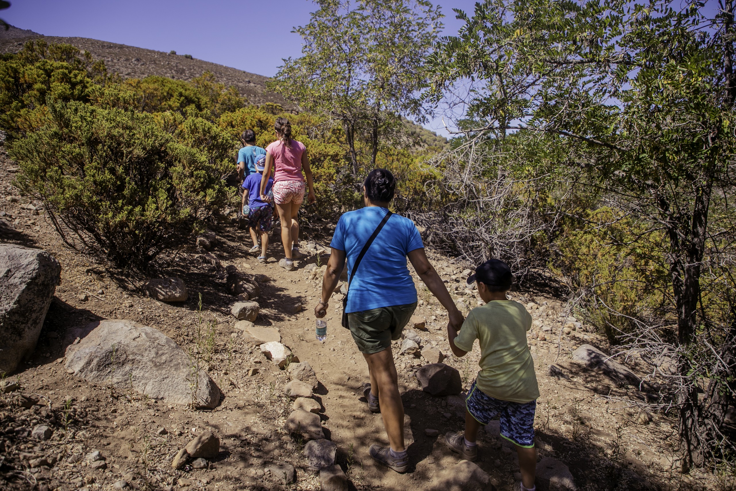 Trekking Padre e Hijo - Lo Barnechea