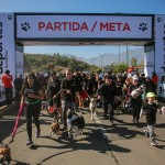4° Perrotón