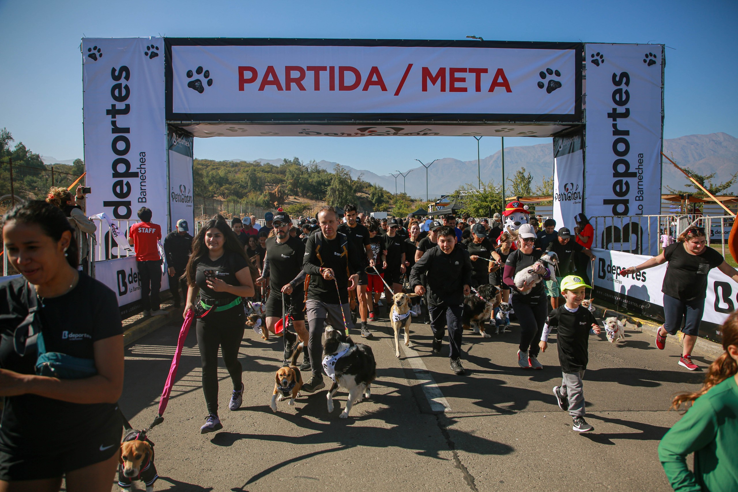 4° Perrotón
