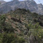 Trekking Mirador de la Roca Parque Cordillera