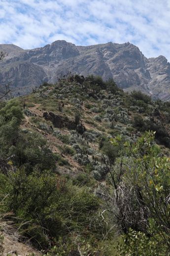 Trekking Mirador de la Roca Parque Cordillera