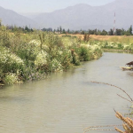Trekking Estero Las Hualtatas