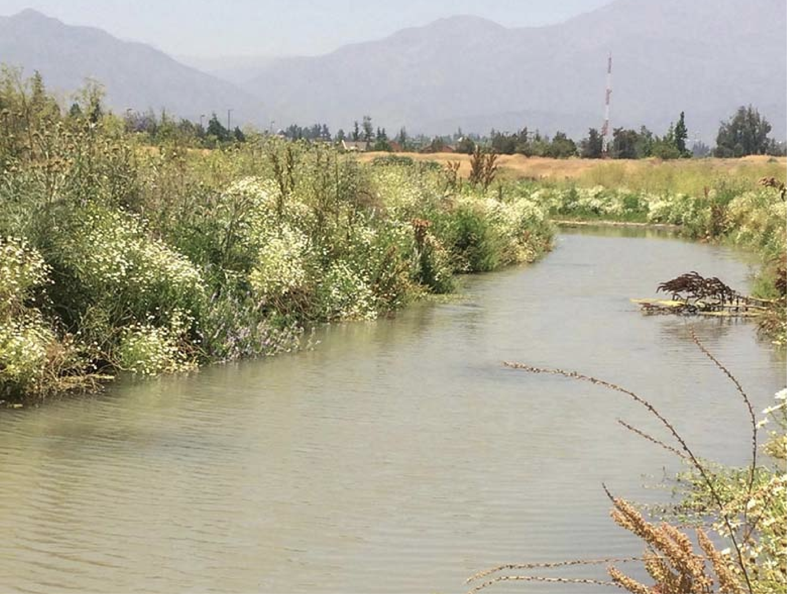 Trekking Estero Las Hualtatas